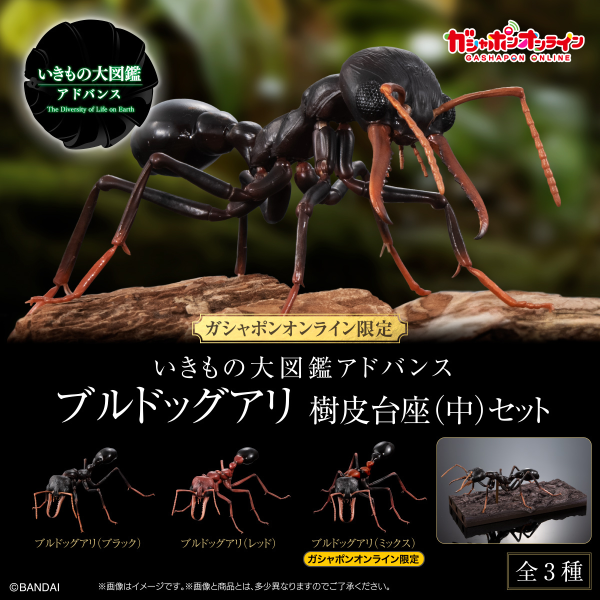 ガシャポンオンライン｜ナムコパークス