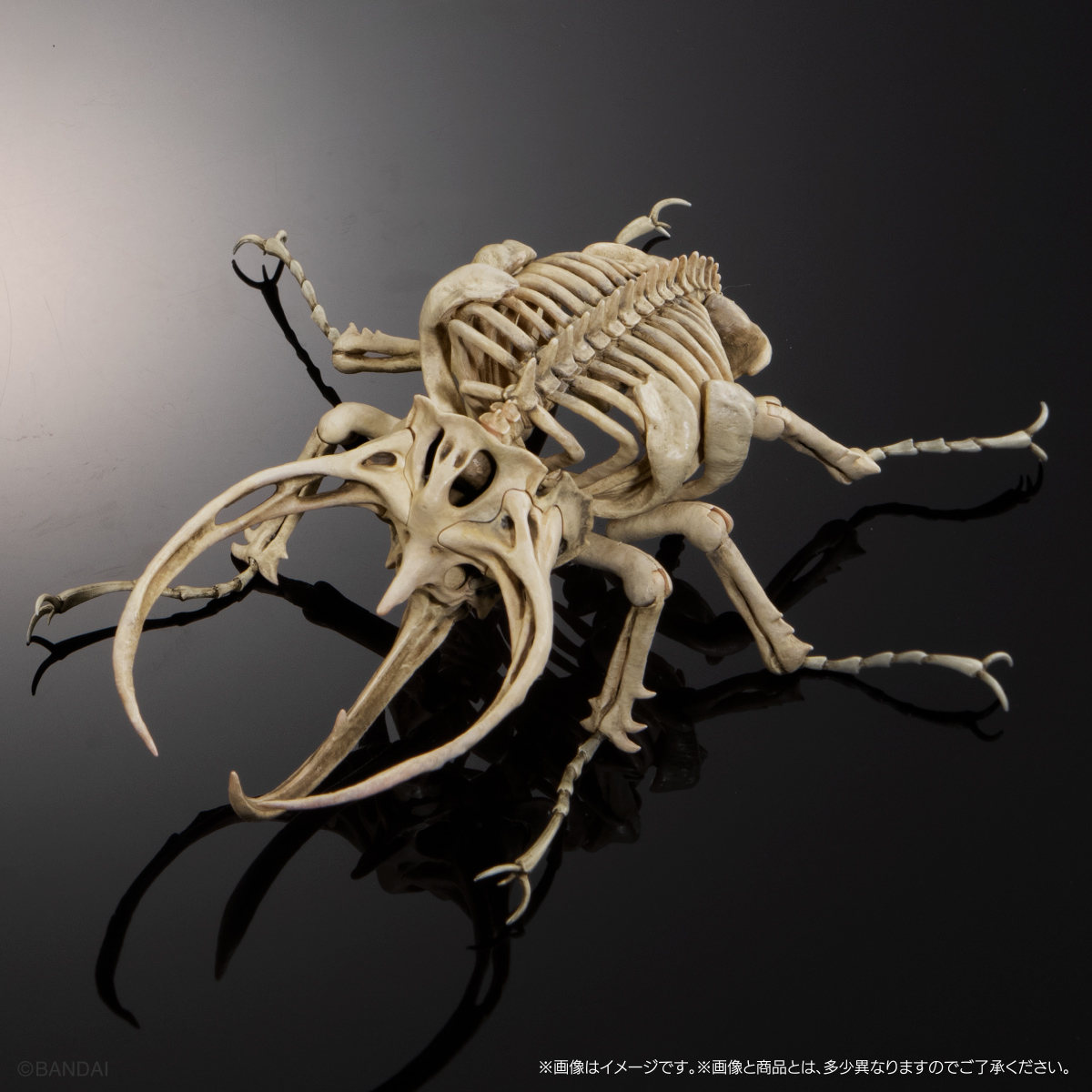 Art in Gashapon 昆虫骨格標本