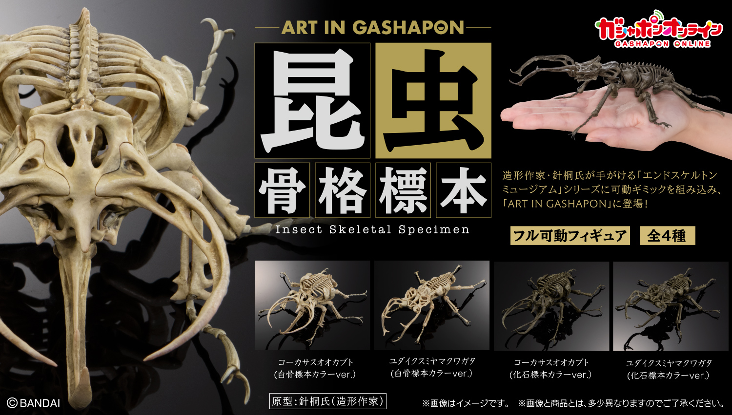 Art in Gashapon 昆虫骨格標本