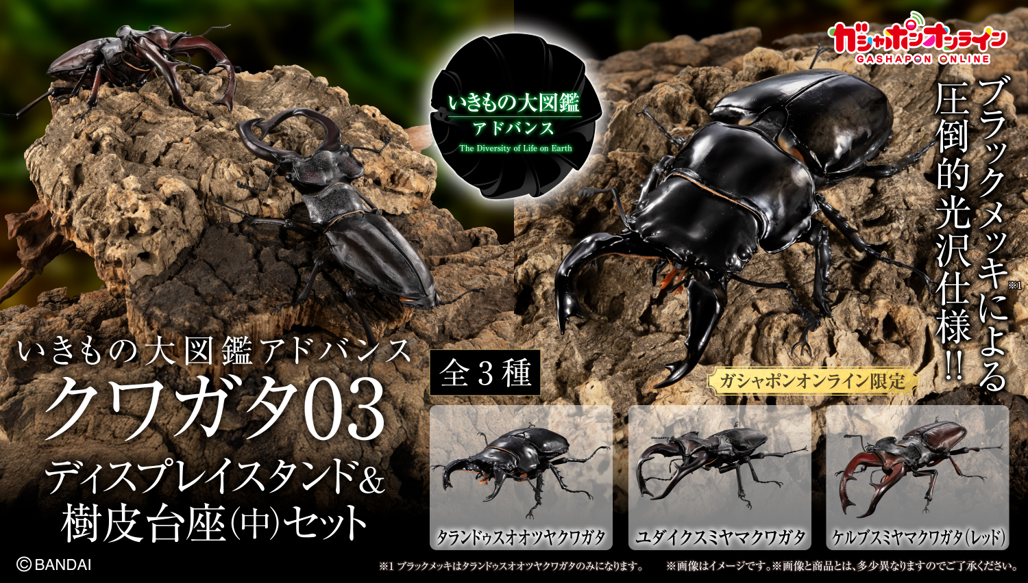 いきもの大図鑑アドバンス　クワガタ03　ディスプレイスタンド＆樹皮台座（中）セット