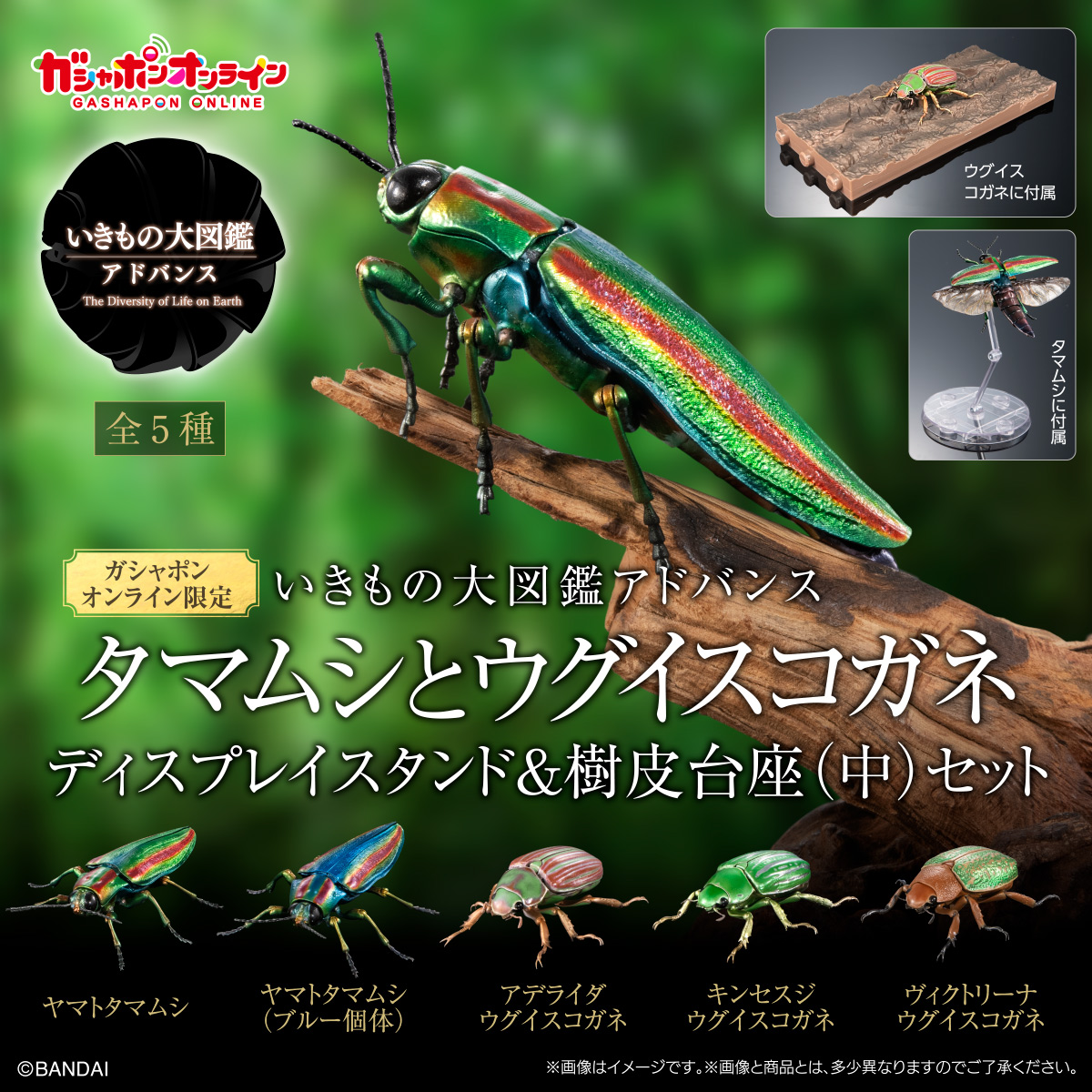 ガシャポンオンライン｜ナムコパークス