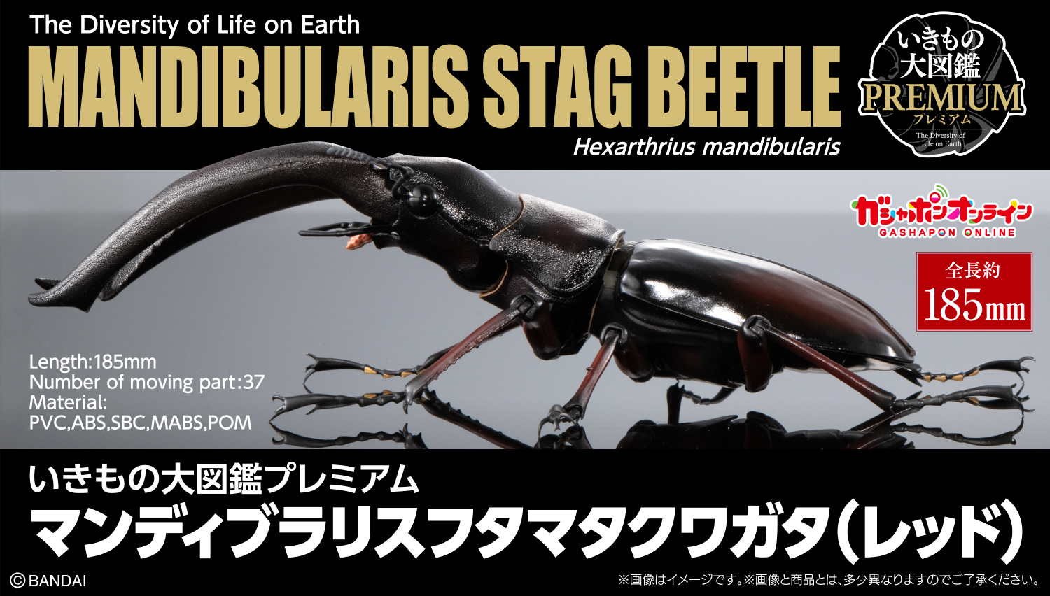 いきもの大図鑑プレミアム　マンディブラリスフタマタクワガタ（レッド）