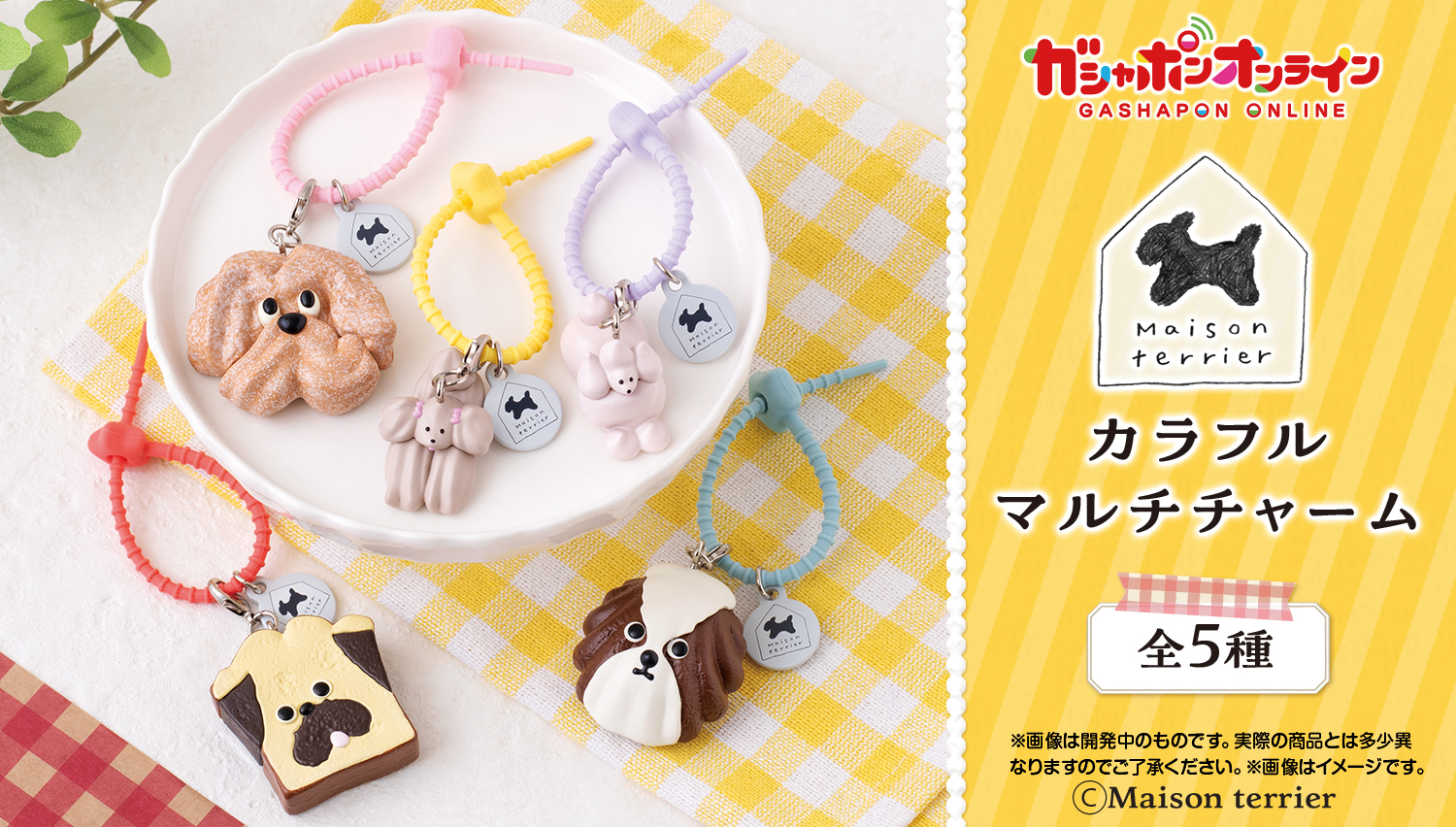 Maison terrier カラフルマルチチャーム
