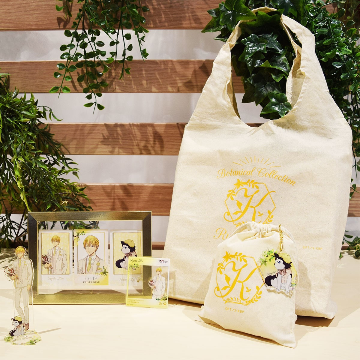 黒子のバスケ Botanical Collection Ver. Kise  コンプリートセット 黄瀬