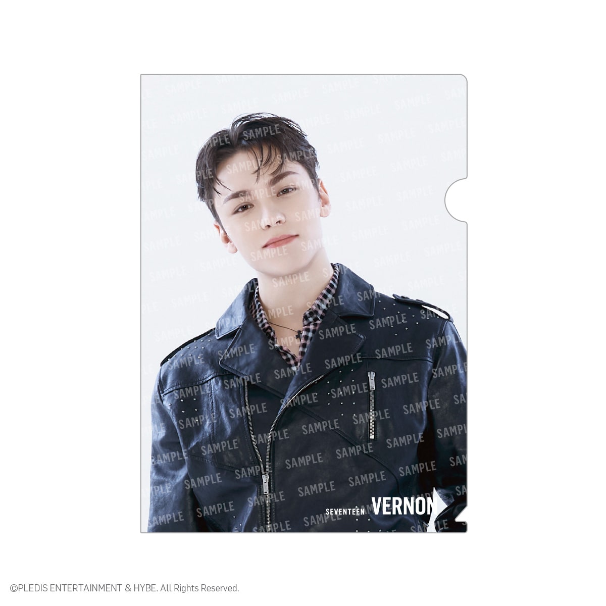 非売品 関西限定 SEVENTEEN × 分厚 HARBS クリアフォト ウォヌ