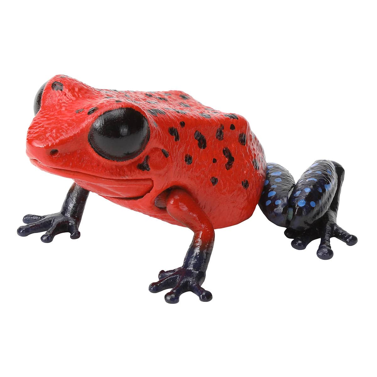 イチゴヤドクガエル