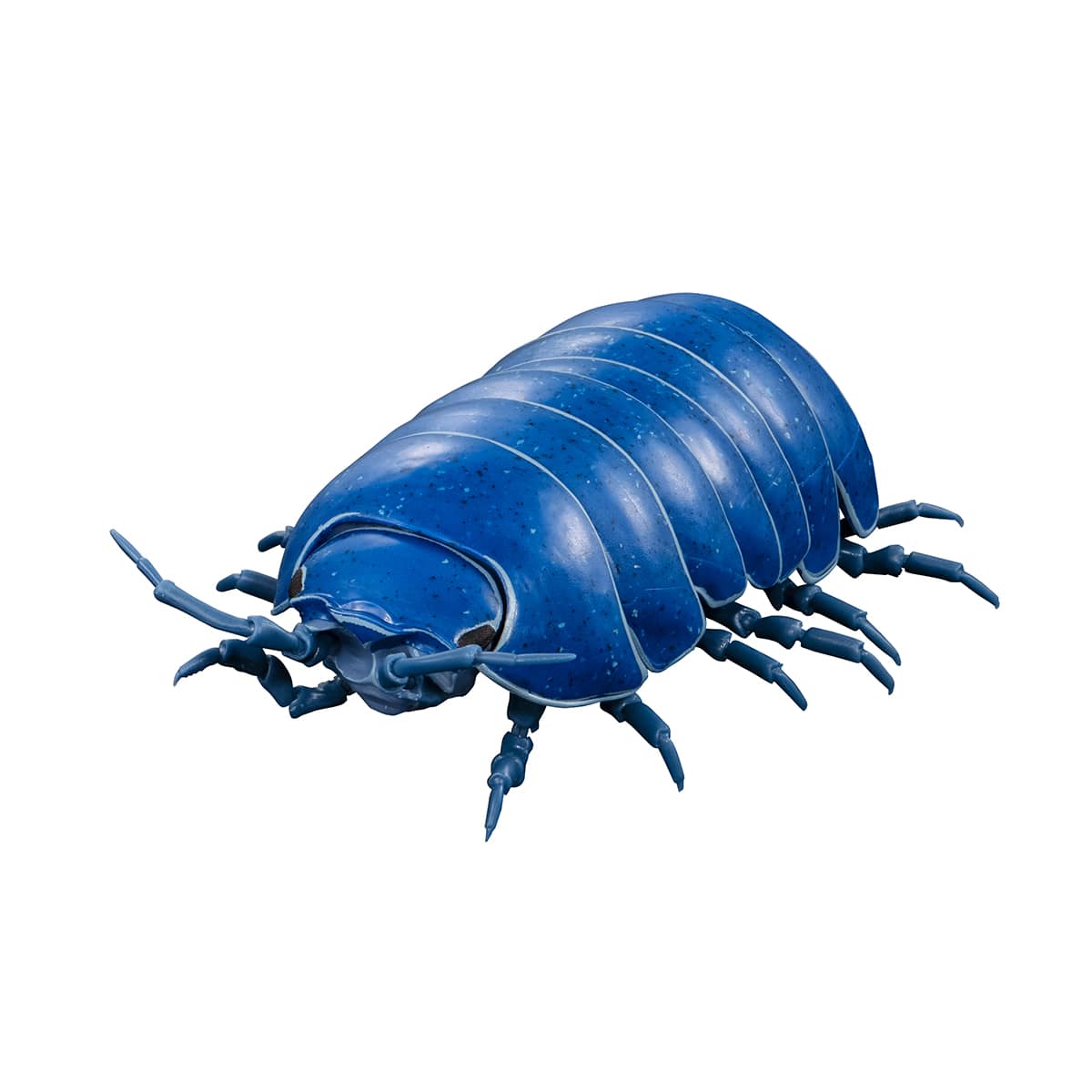 イリドダンゴムシ