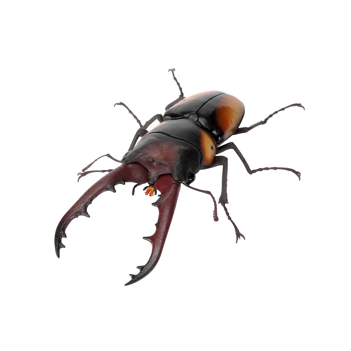 サバゲノコギリクワガタ