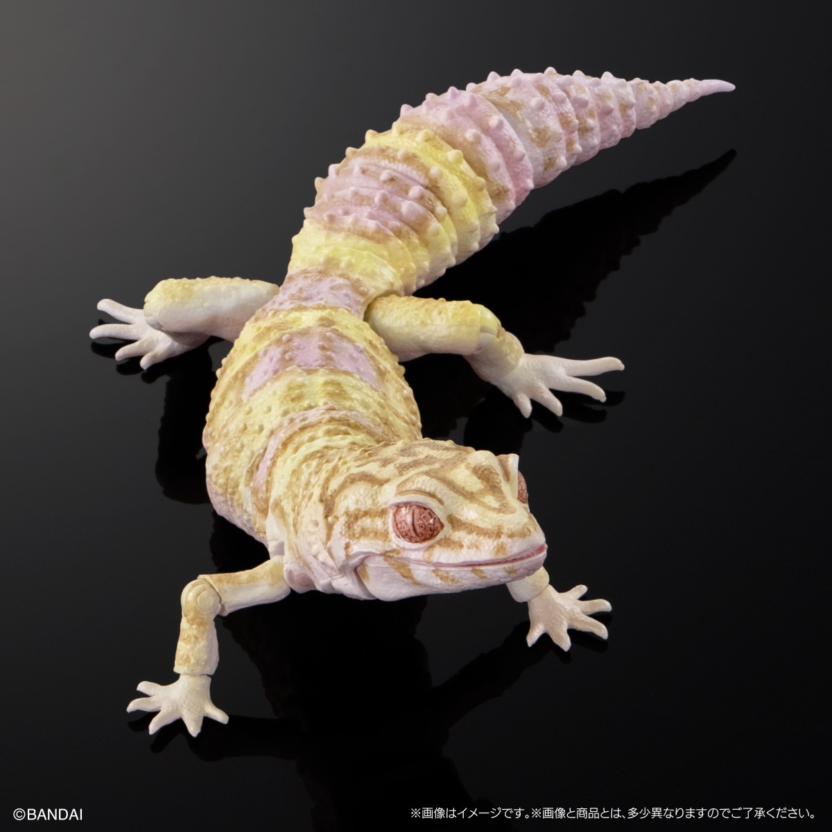 レオパードゲッコー（ベルアルビノ）