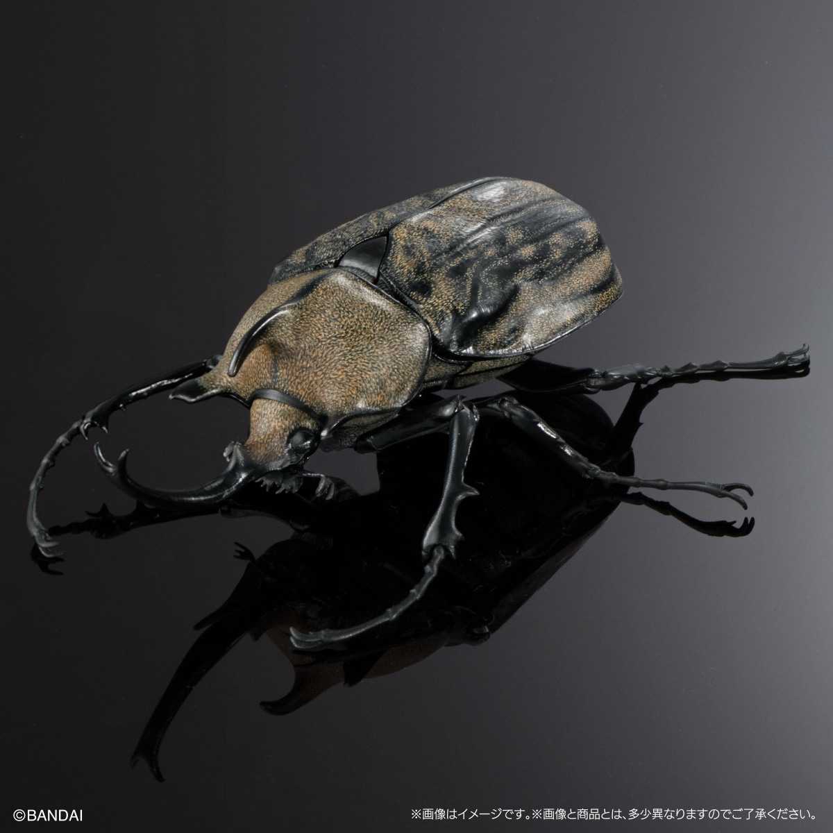 ギアスゾウカブト