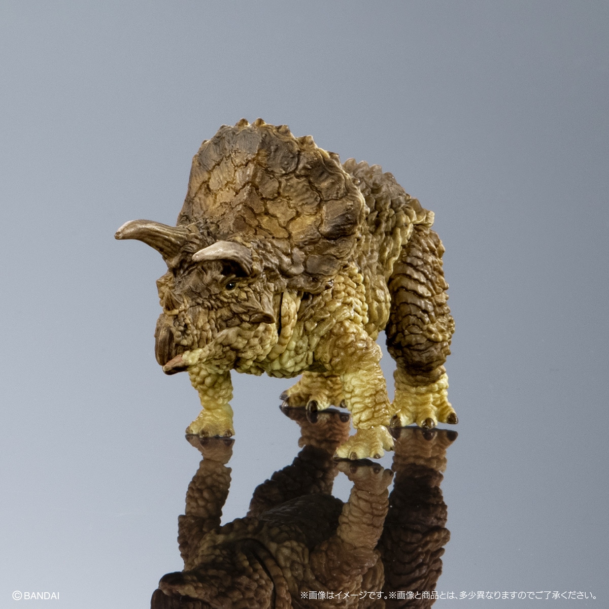 トリケラトプス（ブラウン）