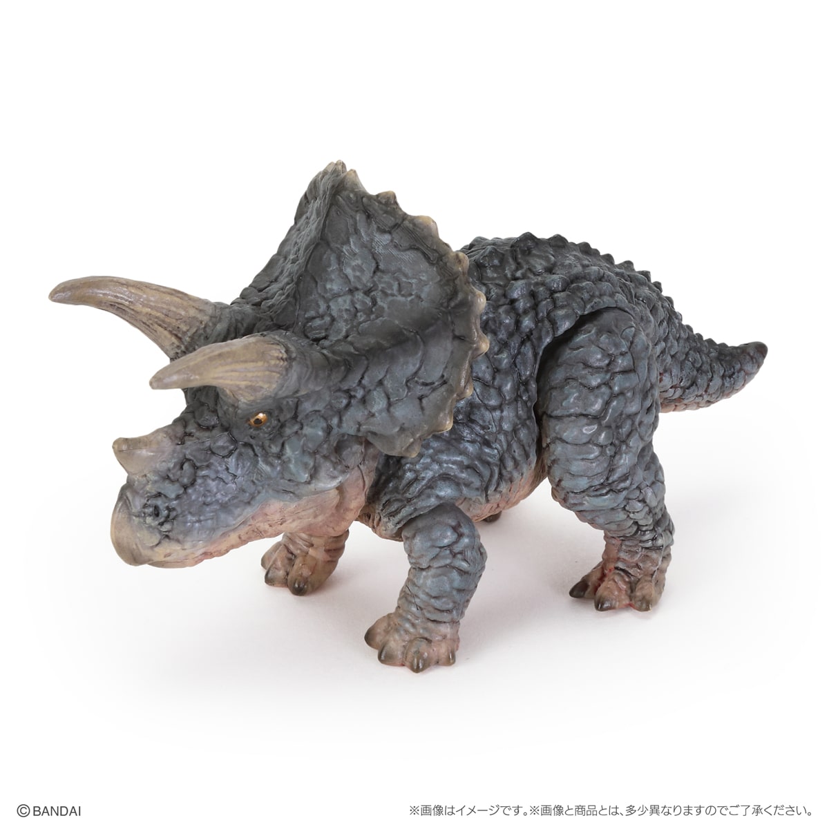 トリケラトプス（ブルー）