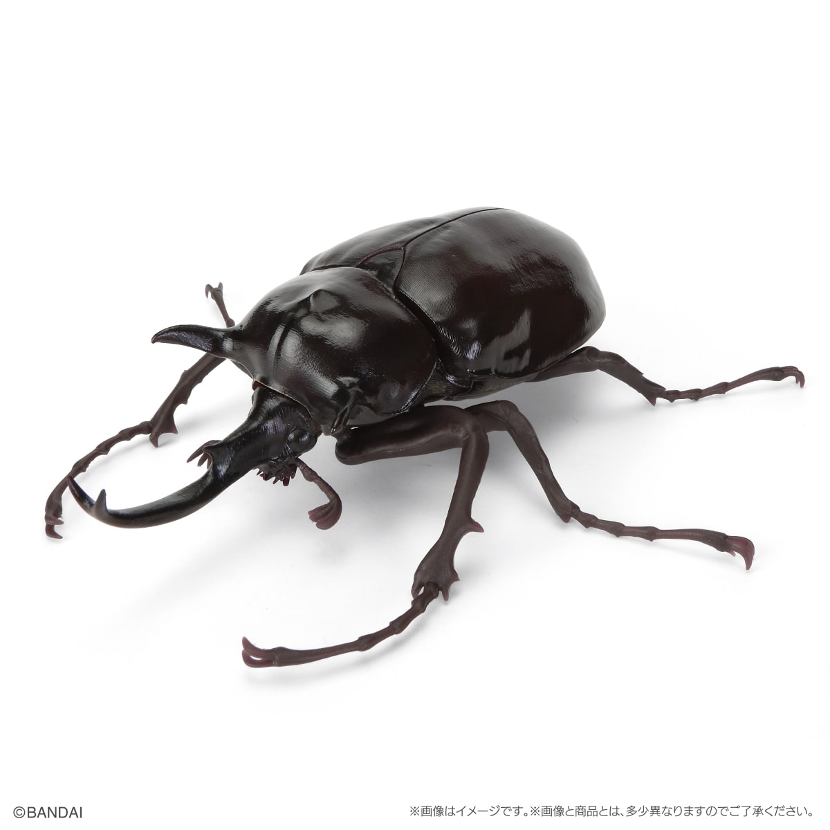 マルスゾウカブト