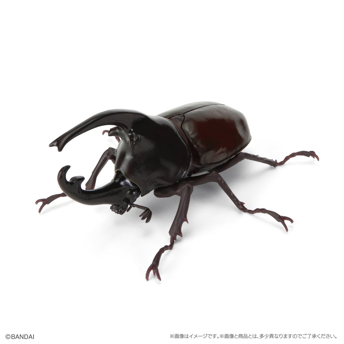 ケンタウルスオオカブト