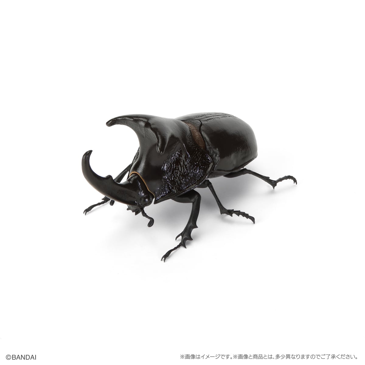 オオツノメンガタカブト