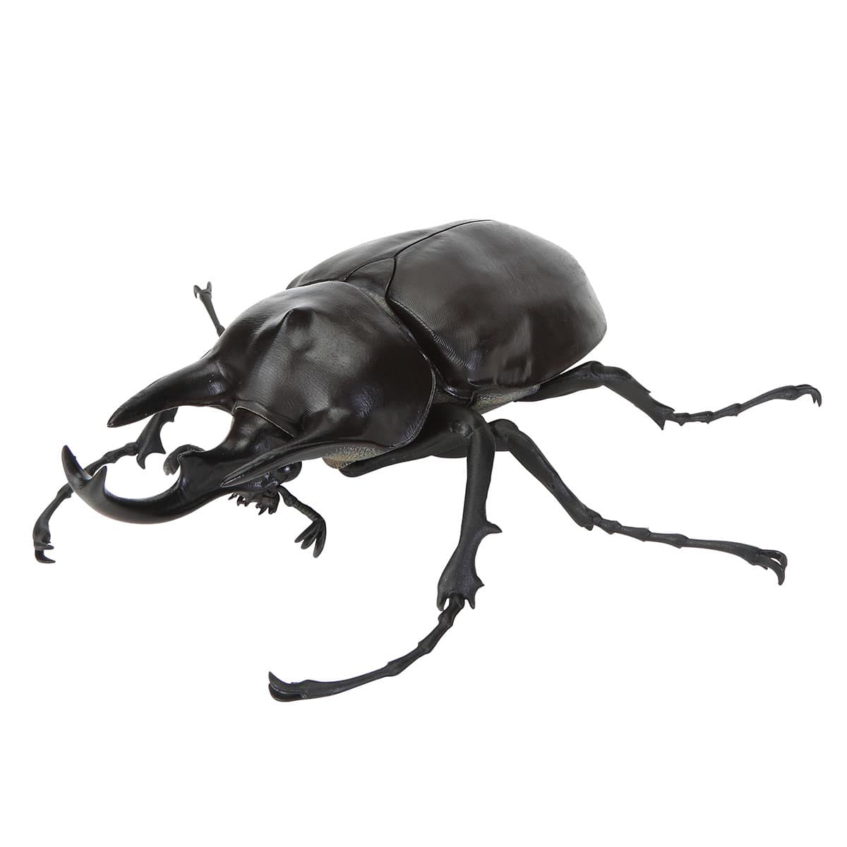 アクティオンゾウカブト