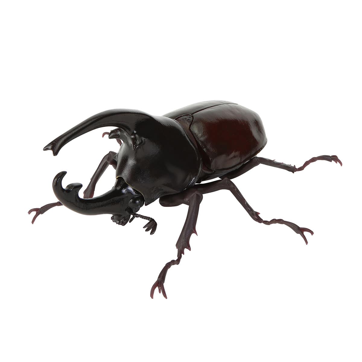 ケンタウルスオオカブト