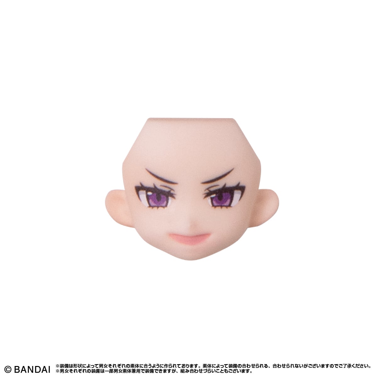聖域の騎士フェイスB