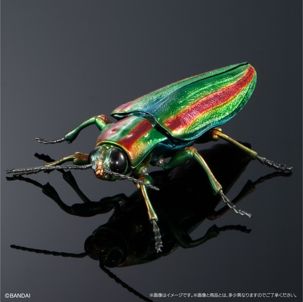 ヤマトタマムシ