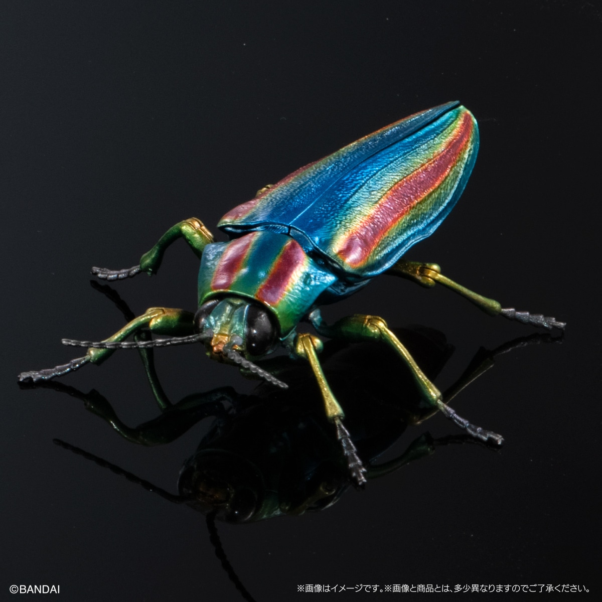 ヤマトタマムシ（ブルー個体）