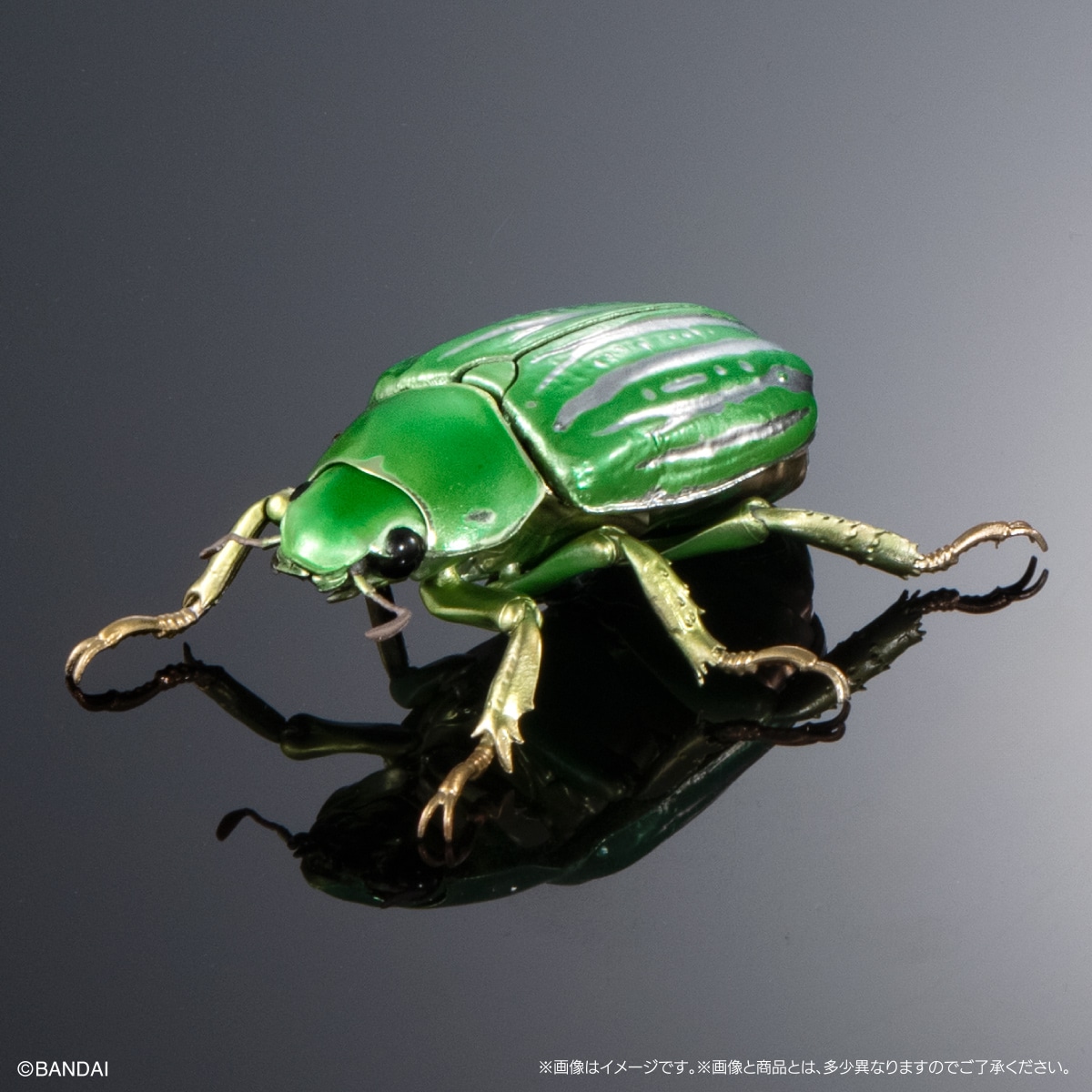 キンセスジウグイスコガネ