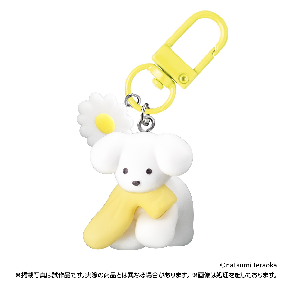 くつしたといぬ