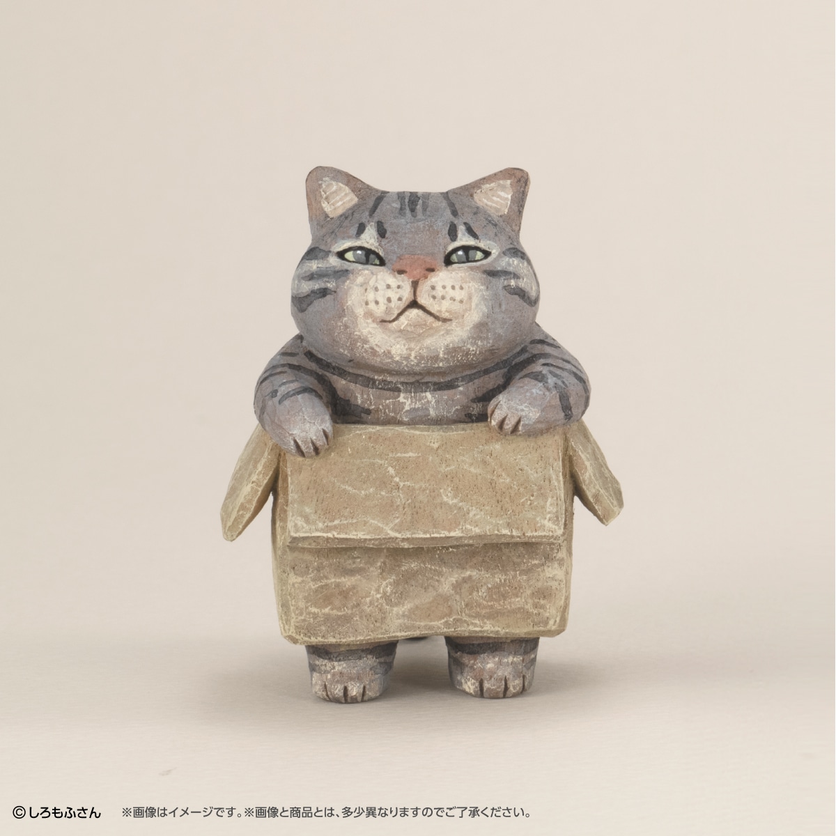 箱に入ったサバトラ猫