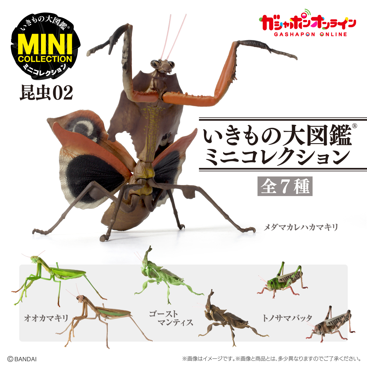 いきもの大図鑑ミニコレクション 昆虫０２ | ナムコパークス 