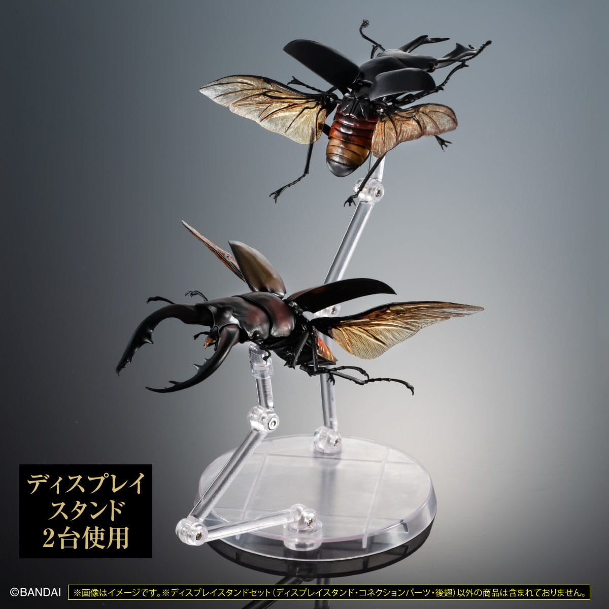 いきもの大図鑑専用　ディスプレイスタンド　カブトムシとクワガタ用後翅（中）セット【2023年4月発送】