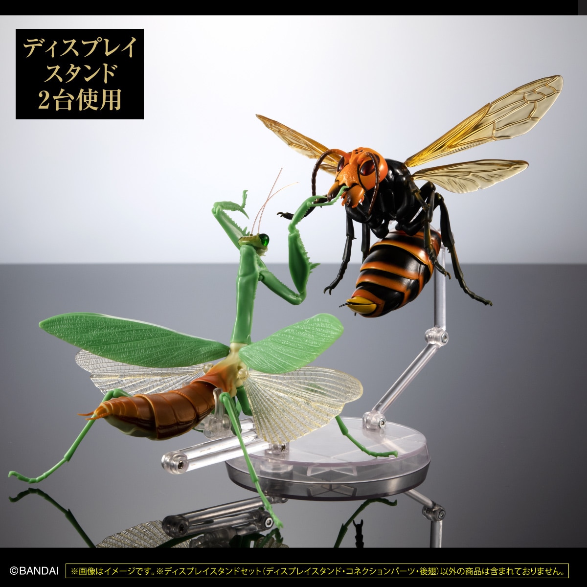 いきもの大図鑑専用　ディスプレイスタンド　カブトムシとクワガタ用後翅（大）セット【2023年4月発送】