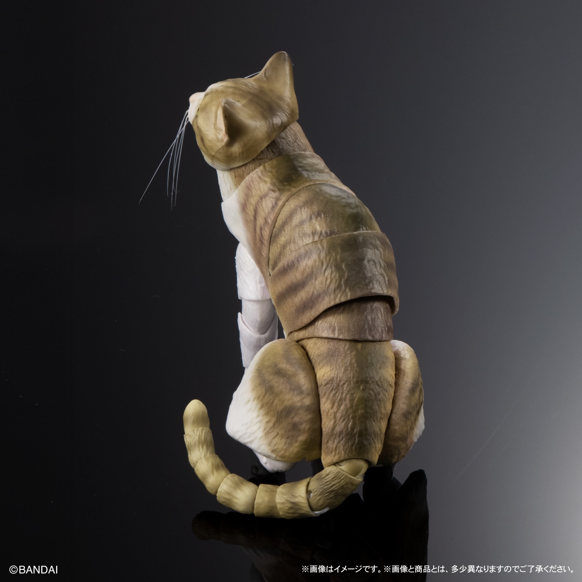 いきもの大図鑑プレミアム　猫　キジトラ白