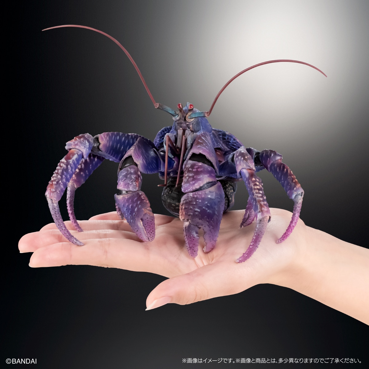 いきもの大図鑑プレミアム　ヤシガニ（パープルカラー）