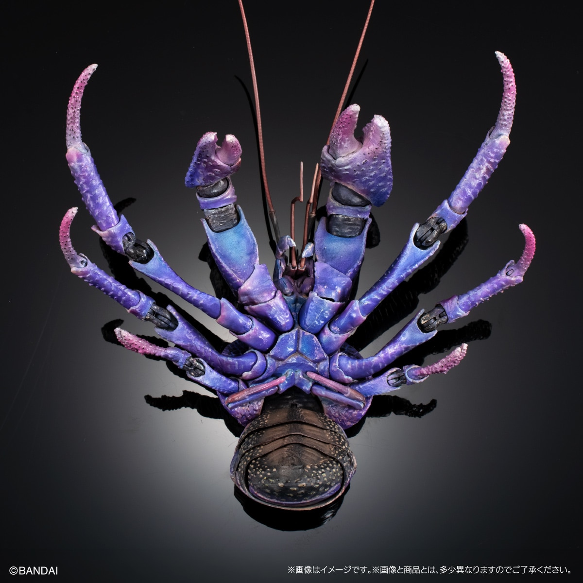 いきもの大図鑑プレミアム　ヤシガニ（パープルカラー）