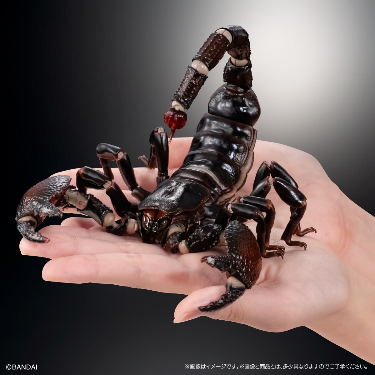 いきもの大図鑑プレミアム　ダイオウサソリ