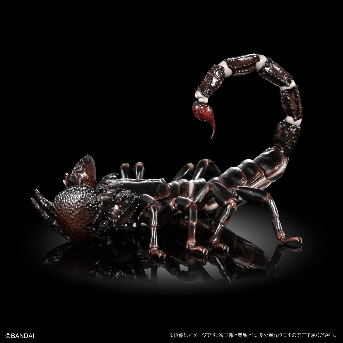 いきもの大図鑑プレミアム　ダイオウサソリ