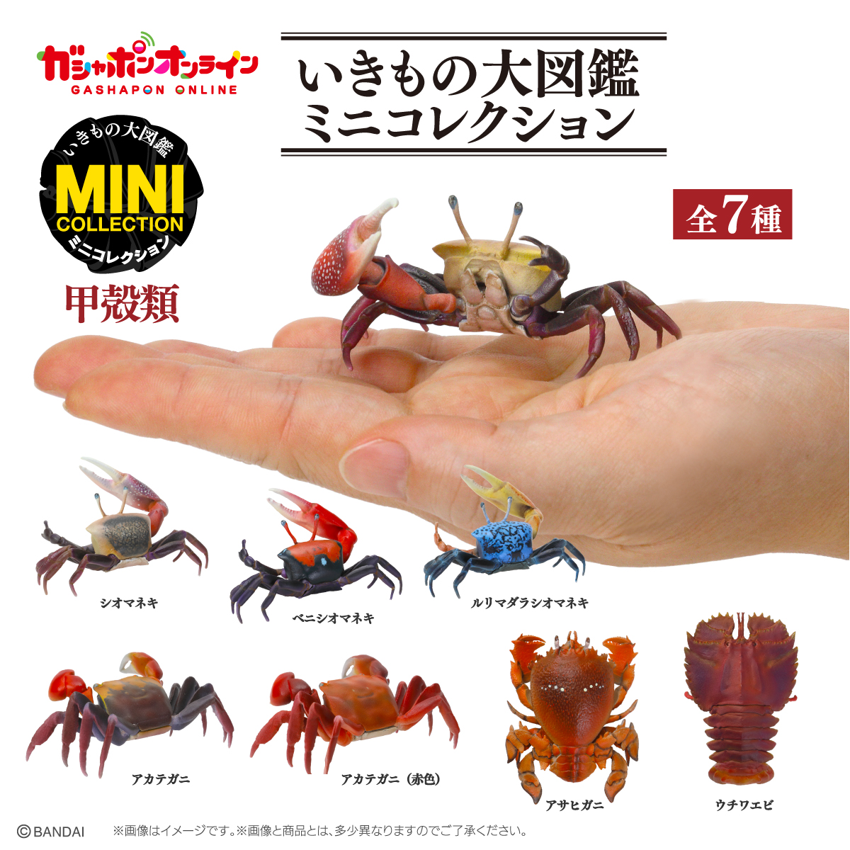 いきもの大図鑑ミニコレクション 甲殻類 | ナムコパークス