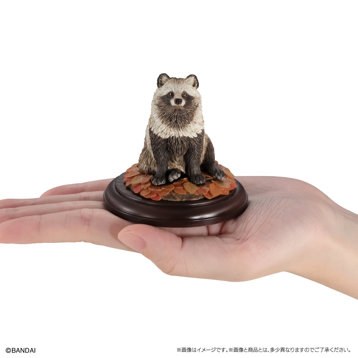 いきもの大図鑑ディスプレイモデルコレクション　野生のイヌ科動物