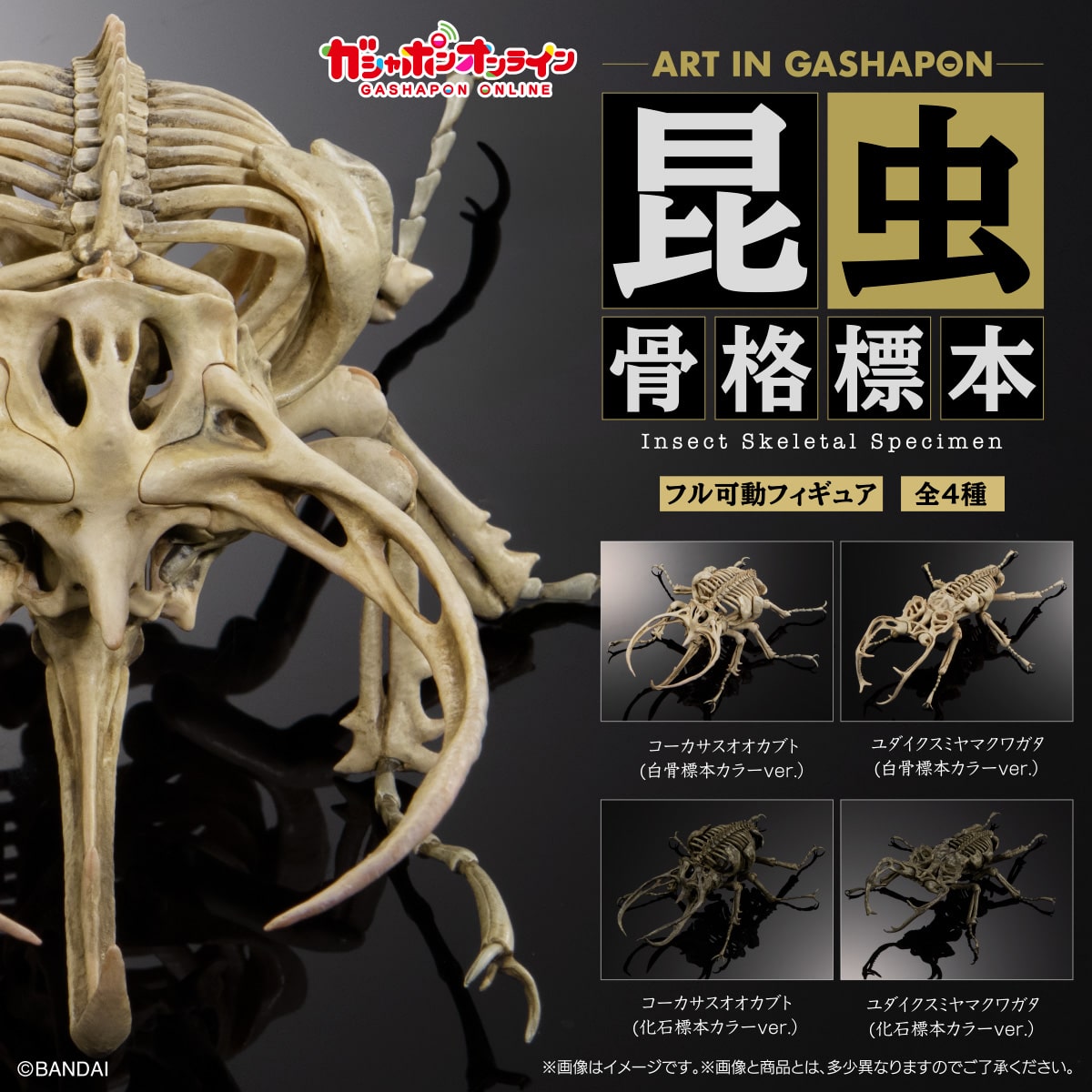 Art in Gashapon 昆虫骨格標本