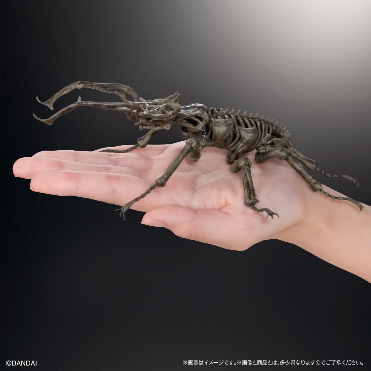 Art in Gashapon 昆虫骨格標本