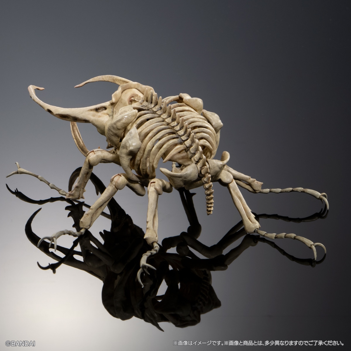 Art in Gashapon 昆虫骨格標本