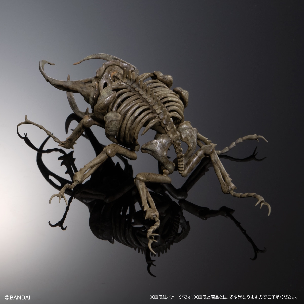Art in Gashapon 昆虫骨格標本