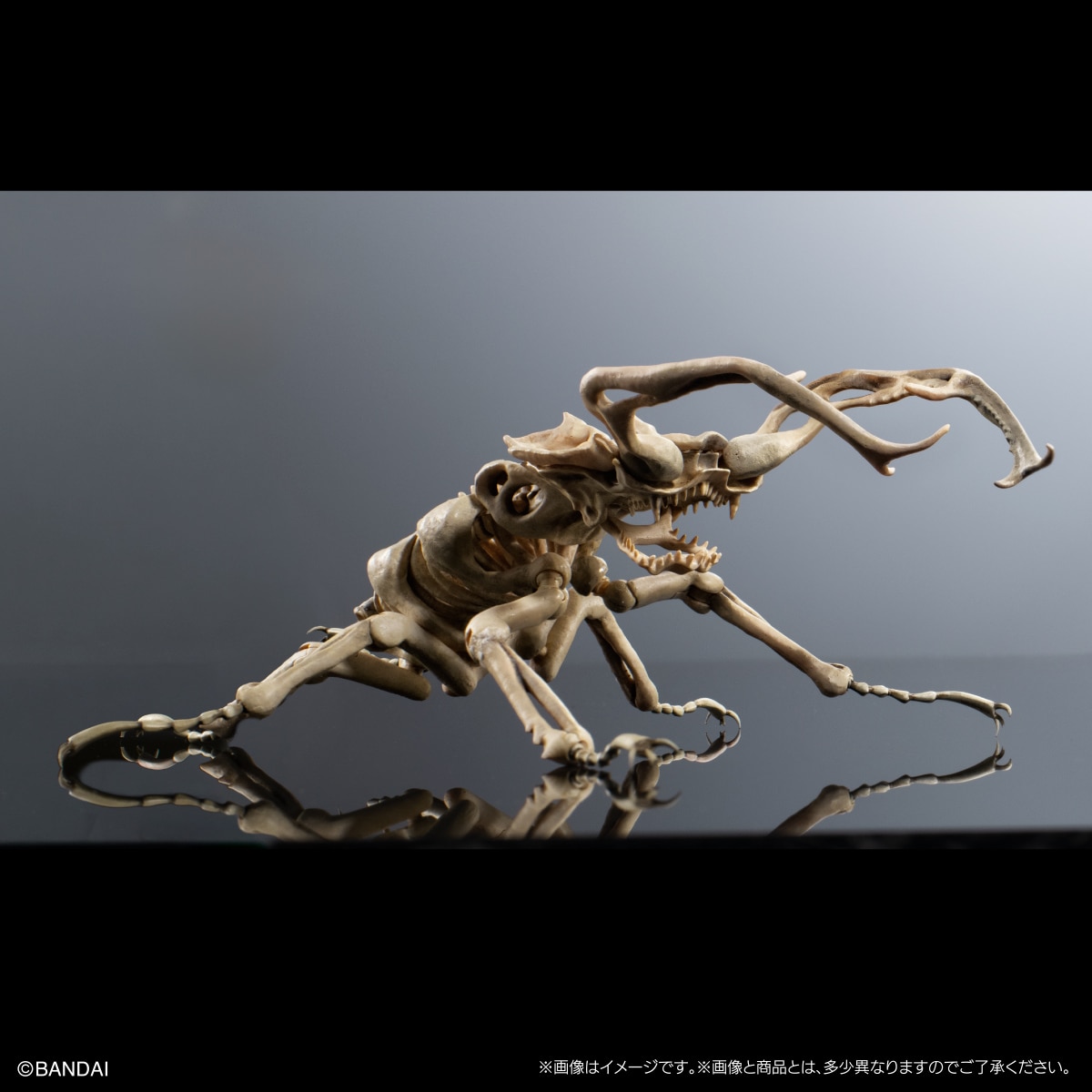 Art in Gashapon 昆虫骨格標本