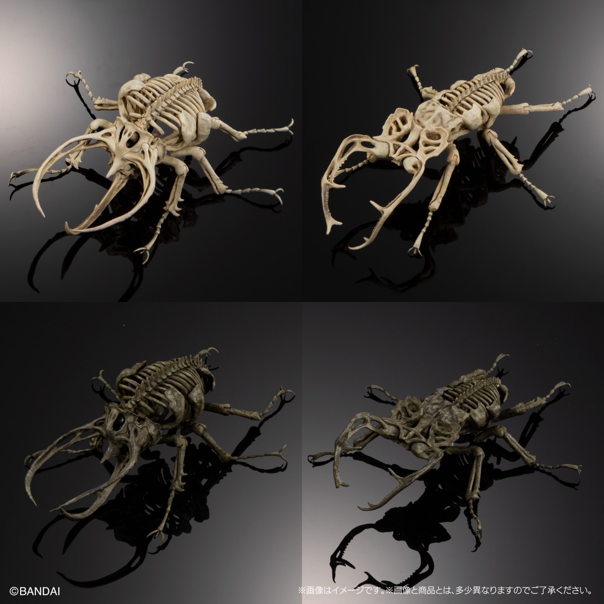 Art in Gashapon 昆虫骨格標本