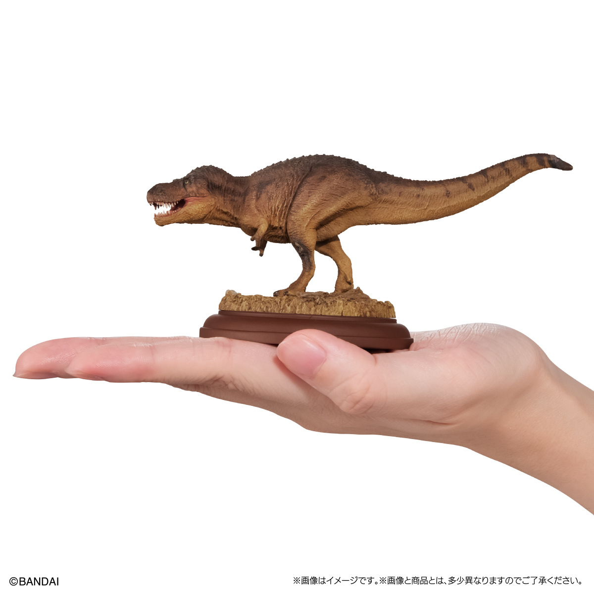 いきもの大図鑑ディスプレイモデルコレクション　恐竜01