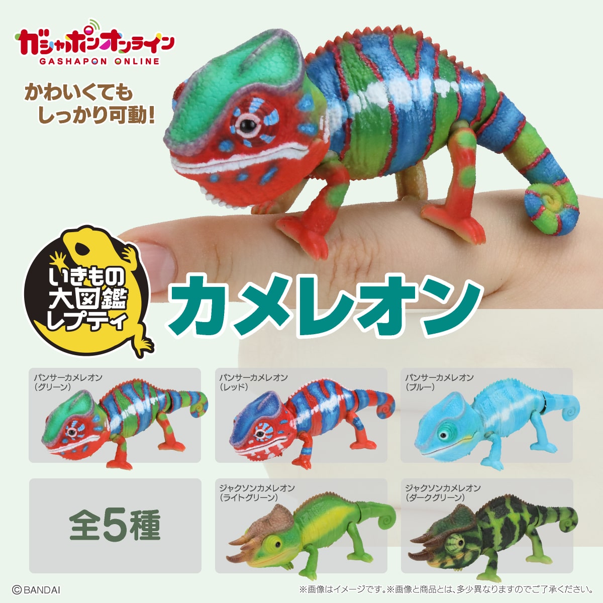 いきもの大図鑑レプティ カメレオン