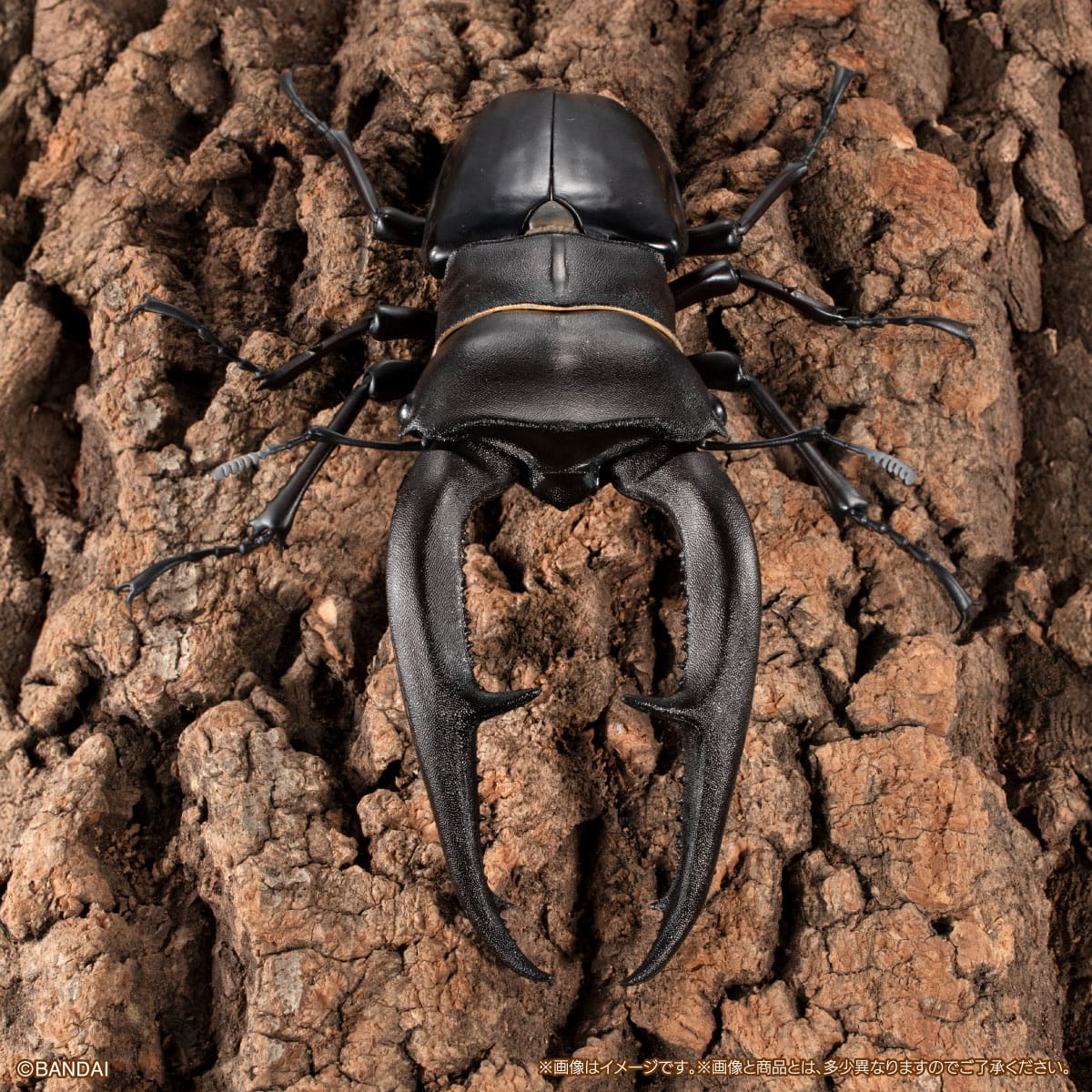 いきもの大図鑑プレミアム　マンディブラリスフタマタクワガタ（ブラック）