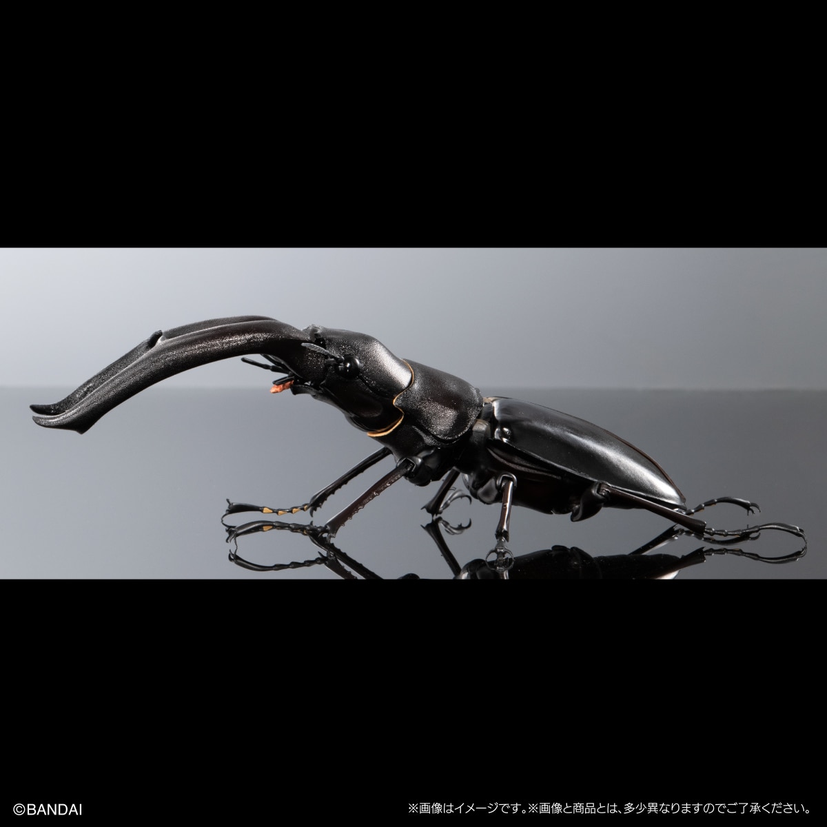 いきもの大図鑑プレミアム　マンディブラリスフタマタクワガタ（ブラック）