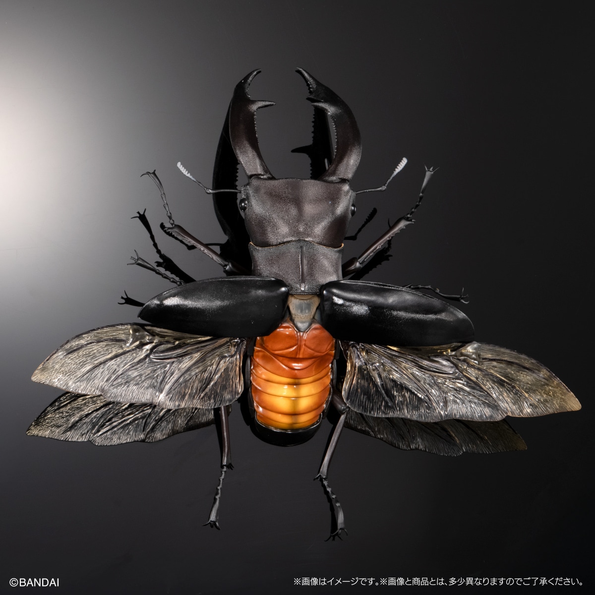 いきもの大図鑑プレミアム　マンディブラリスフタマタクワガタ（ブラック）