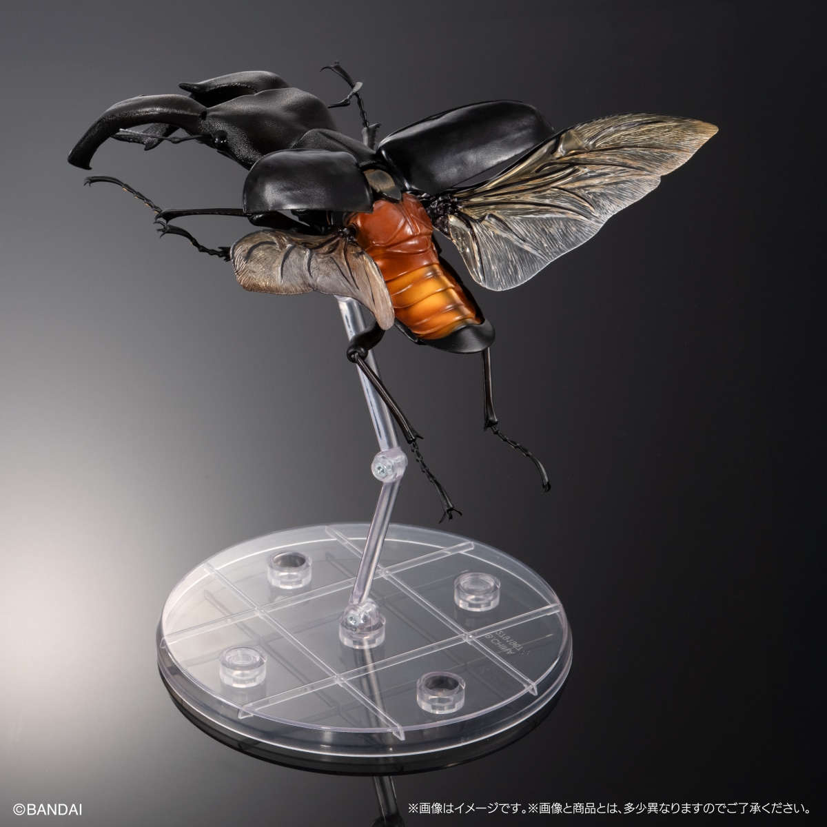 いきもの大図鑑プレミアム　マンディブラリスフタマタクワガタ（ブラック）