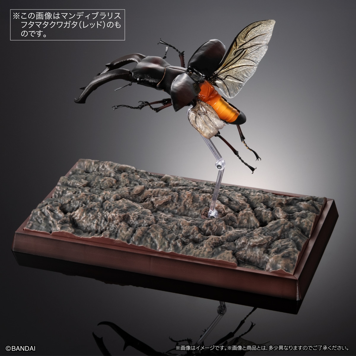 いきもの大図鑑プレミアム　マンディブラリスフタマタクワガタ（ブラック）